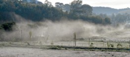 A cidade de Maria da Fé já é conhecida por registrar recordes de baixa temperatura e geadas (Foto: O Tempo)