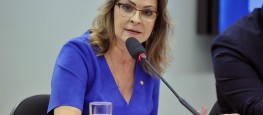 Assessoria Parlamentar Dep. Dâmina Pereira