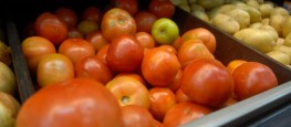 O preço do tomate caiu, mas a sensação do consumidor é a de que aumentou (Foto: Tânia Rêgo / ABr)